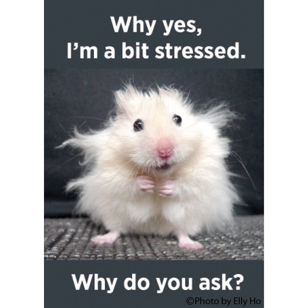 Why Yes, I'm A Bit Stressed Magnet - Just Fabulous Palm Springs