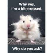 Why Yes, I'm A Bit Stressed Magnet - Just Fabulous Palm Springs