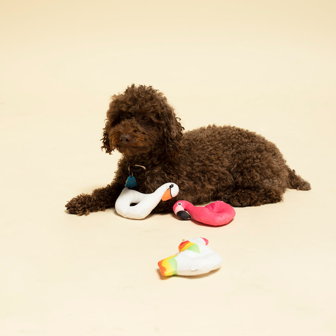 Floaty Time Plush Dog Toy 3pcs Set