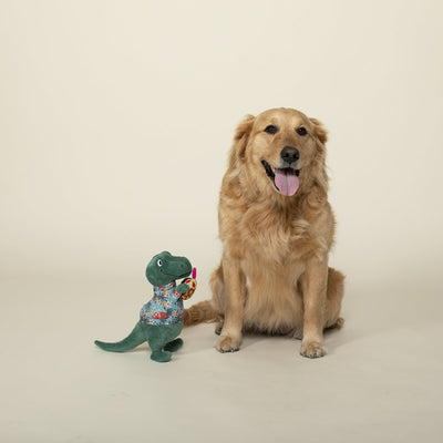 It's 5 O'Clock Somewhere Squeaky Plush Dog Toy
