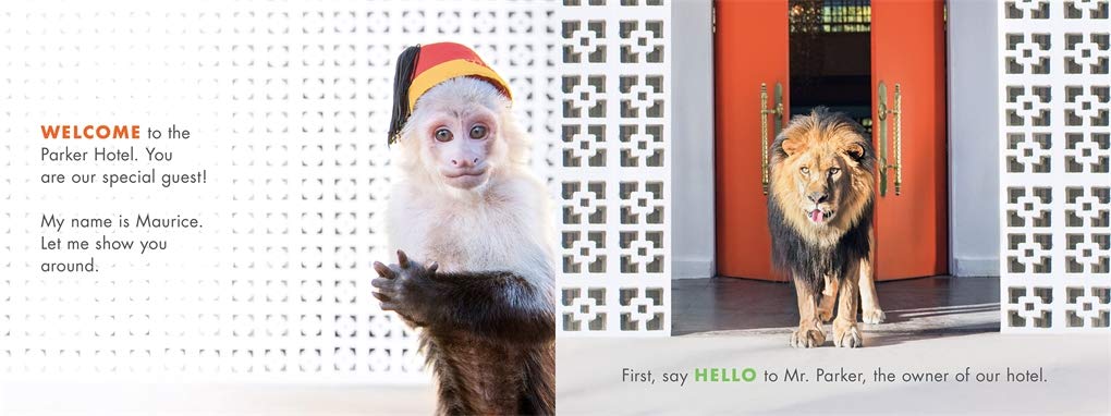 Gray Malin: Be Our Guest! - Kid's Board Book - Just Fabulous Palm Springs
