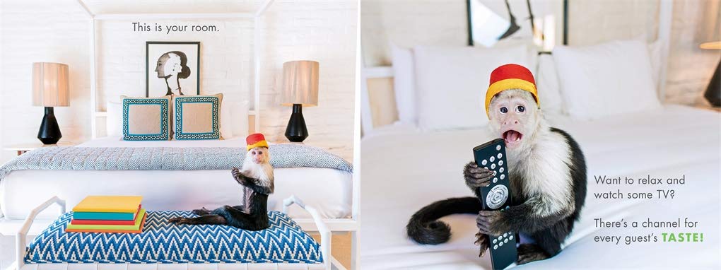 Gray Malin: Be Our Guest! - Kid's Board Book - Just Fabulous Palm Springs