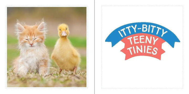 Cute Animals For Hard Times