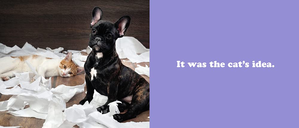 The Secret Thoughts Of Dogs - Just Fabulous Palm Springs