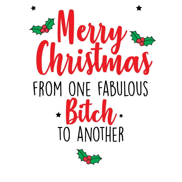 Merry Christmas From One Fab Bitch To Another Holiday Card