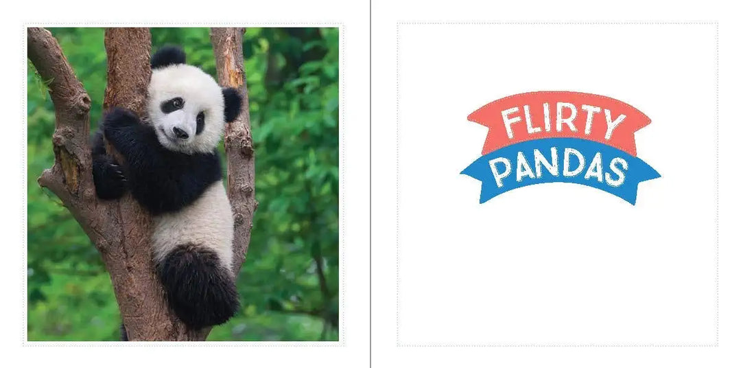 Cute Animals For Hard Times
