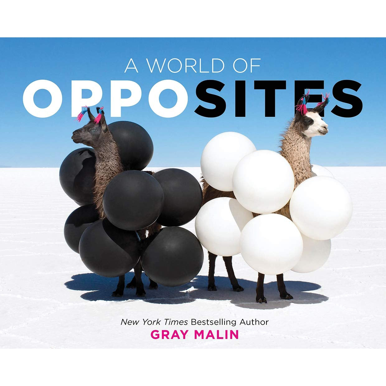 Gray Malin: A World of Opposites