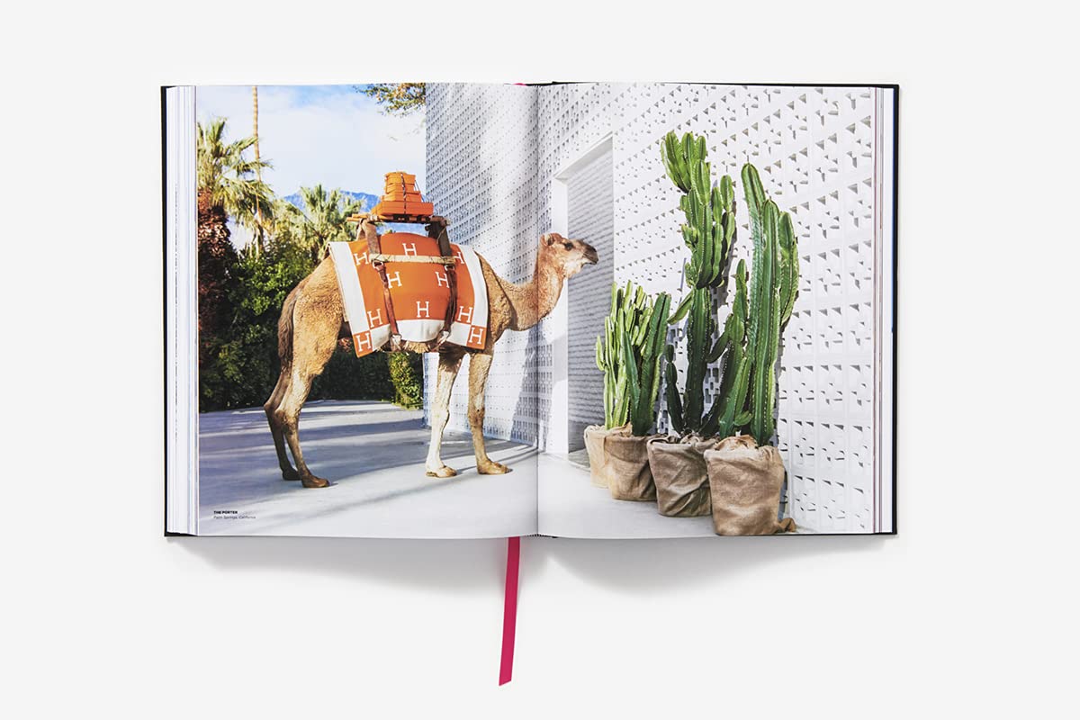Gray Malin: The Essential Collection - Just Fabulous Palm Springs