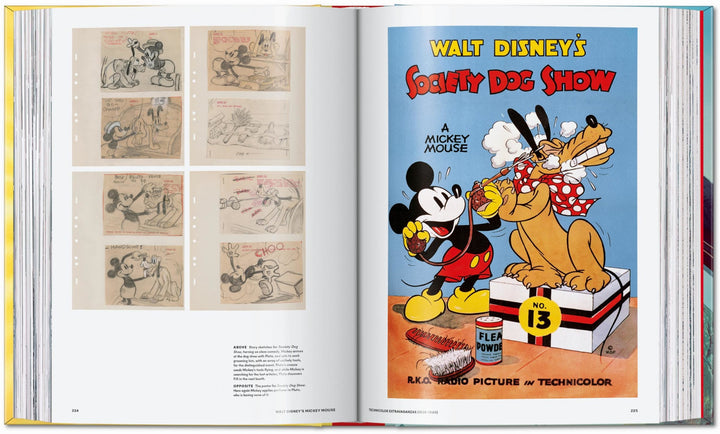 Walt Disney's Mickey Mouse The Ultimate History XL