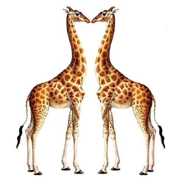 Female Giraffe Blank Card