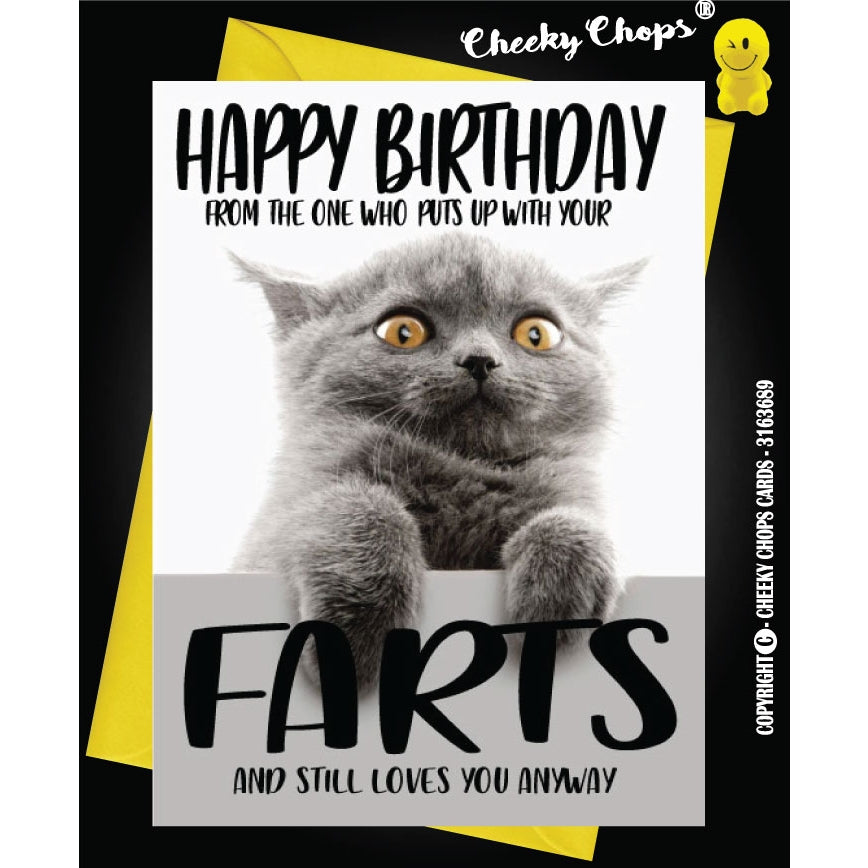 Farts Cat Birthday Card