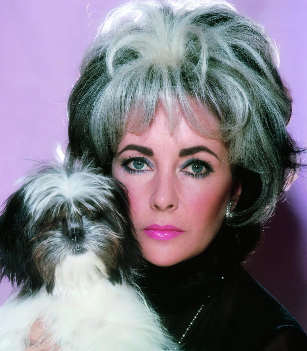 Forever Elizabeth: Iconic Photographers On A Legendary Star