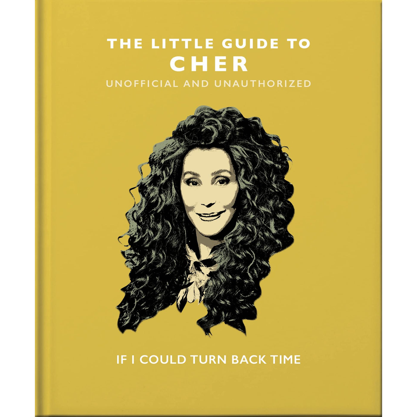 The Little Guide To Cher