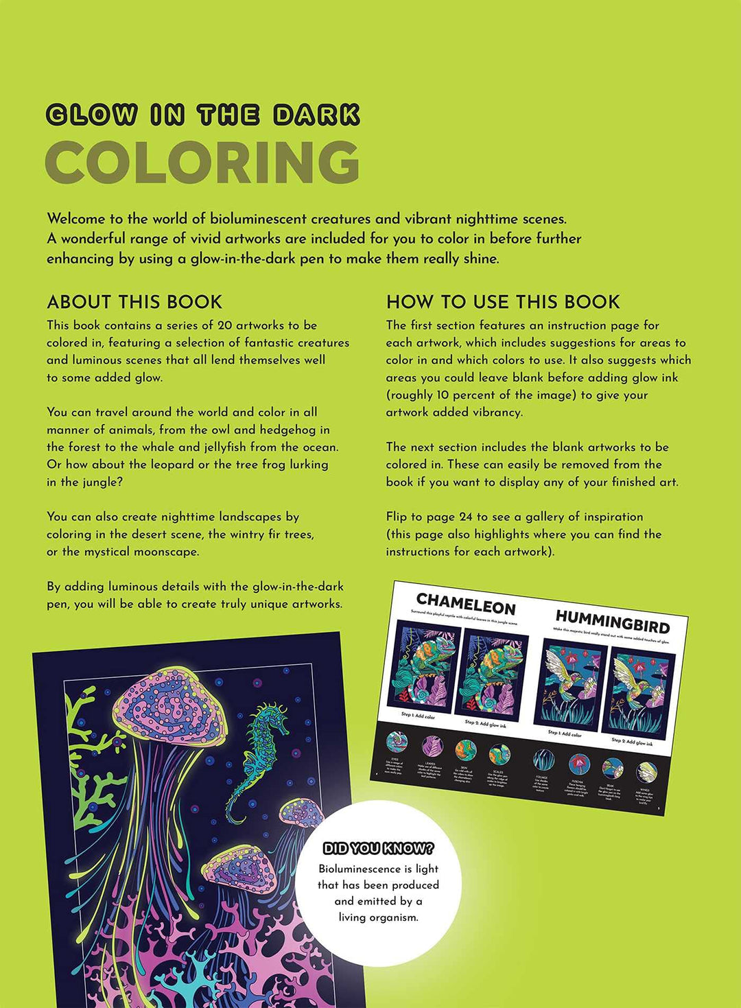 Glow In The Dark Coloring Book