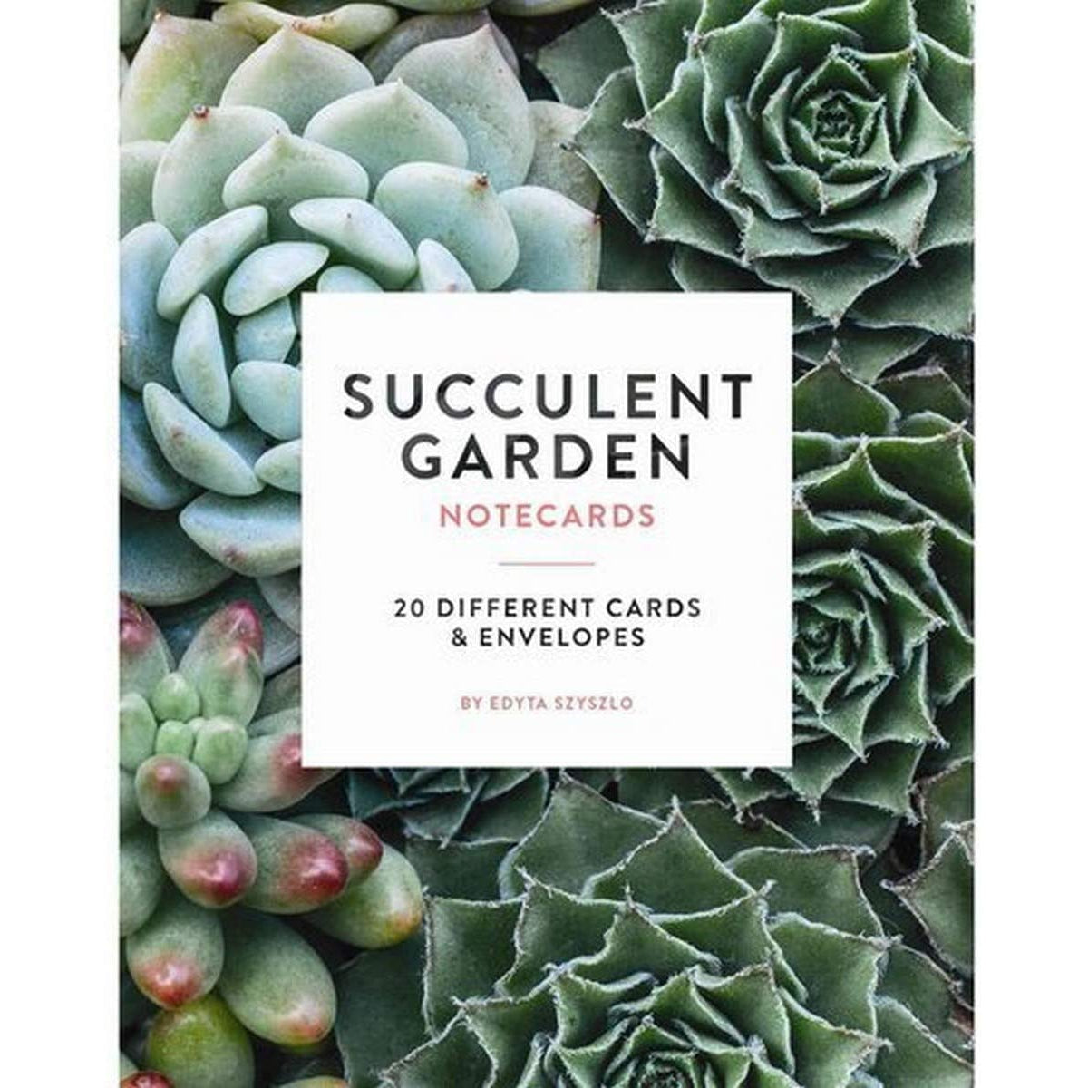 Succulent Garden: Notecards