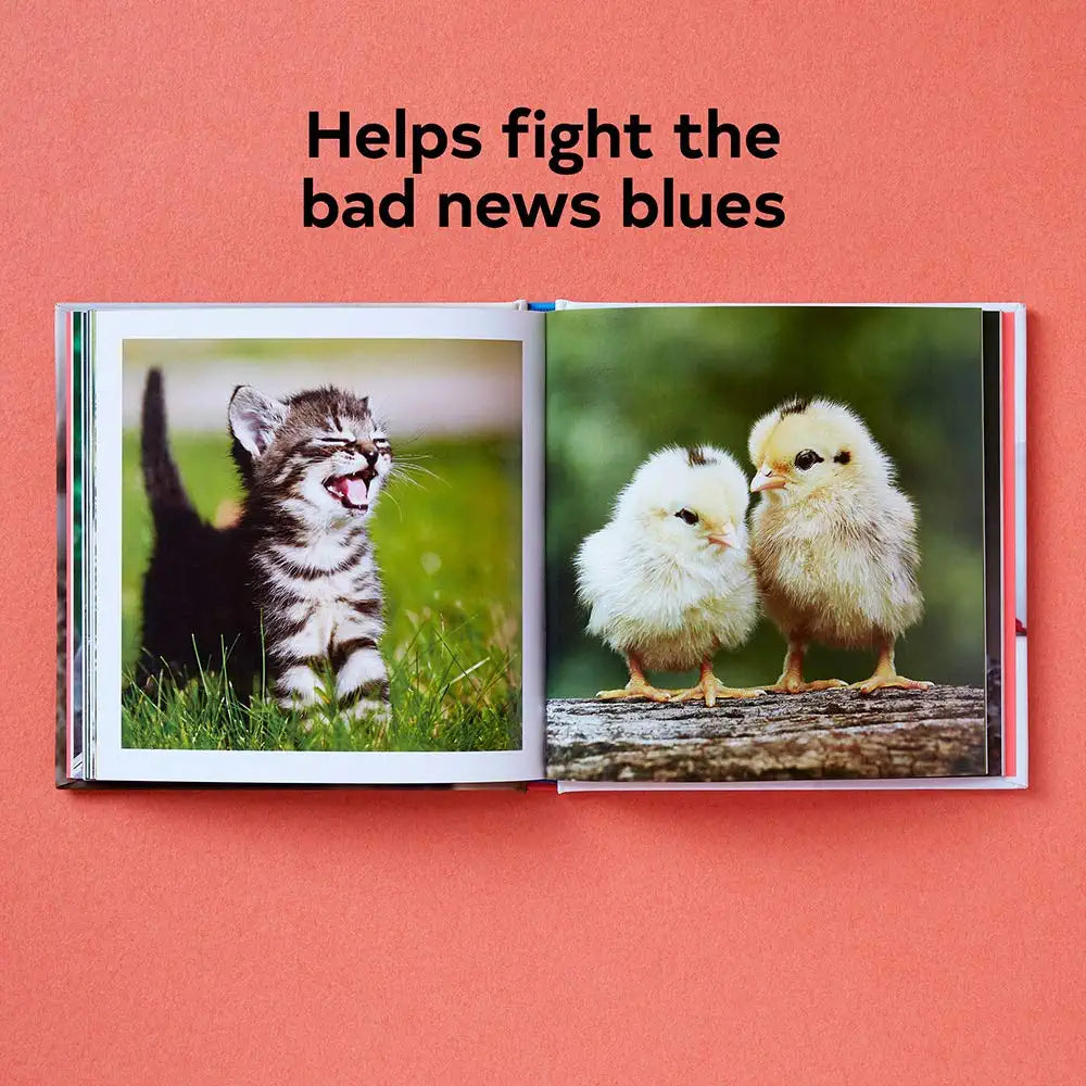Cute Animals For Hard Times