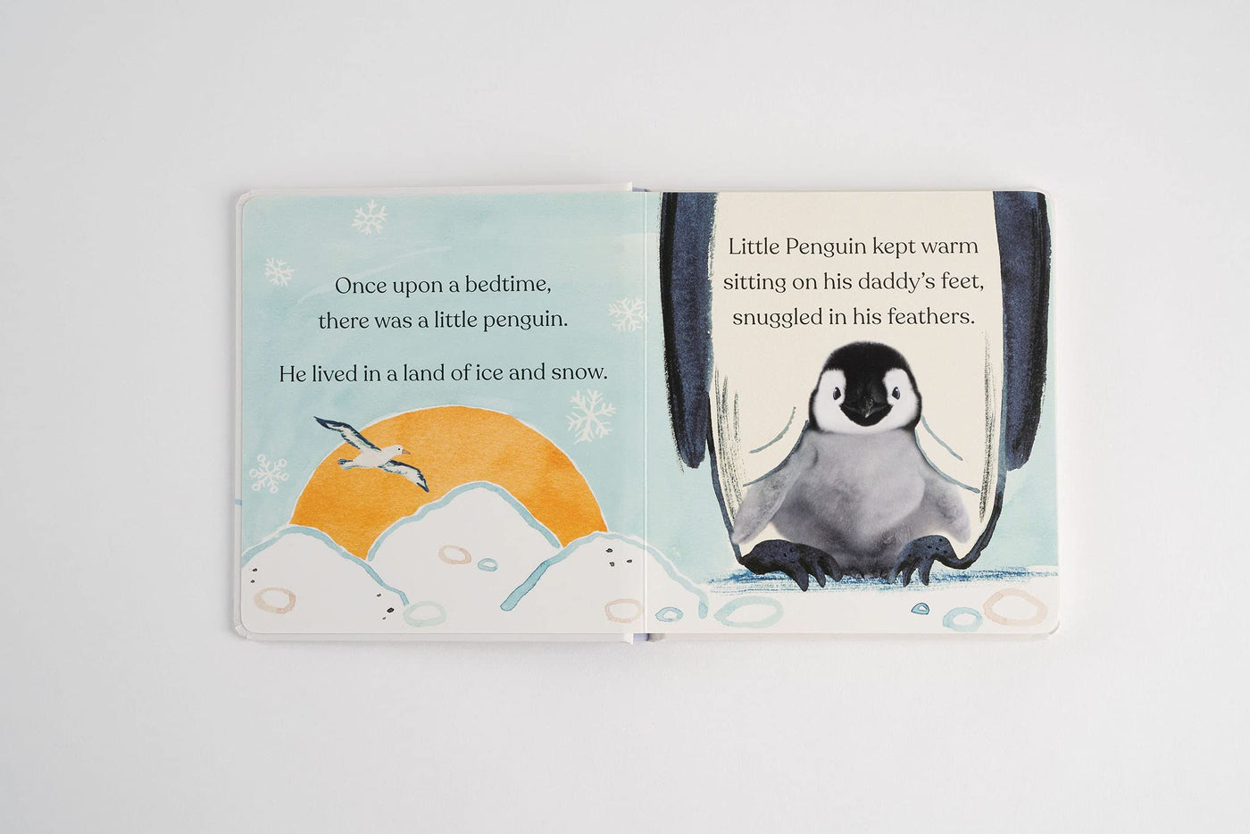 Goodnight, Little Penguin