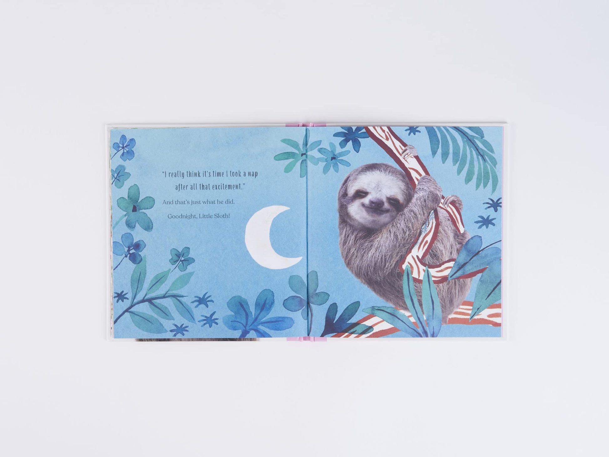 Goodnight, Little Sloth - Just Fabulous Palm Springs