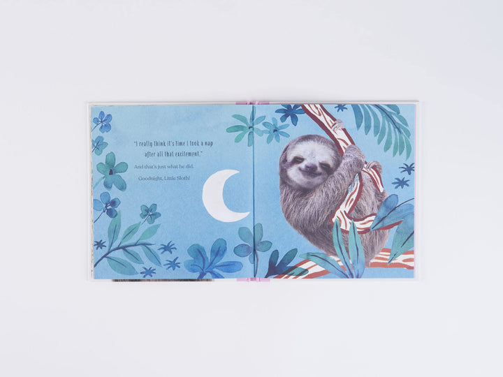 Goodnight, Little Sloth