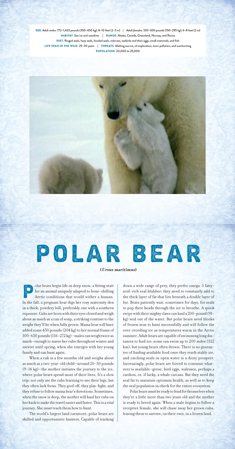Polar - Photicular Book - Just Fabulous Palm Springs