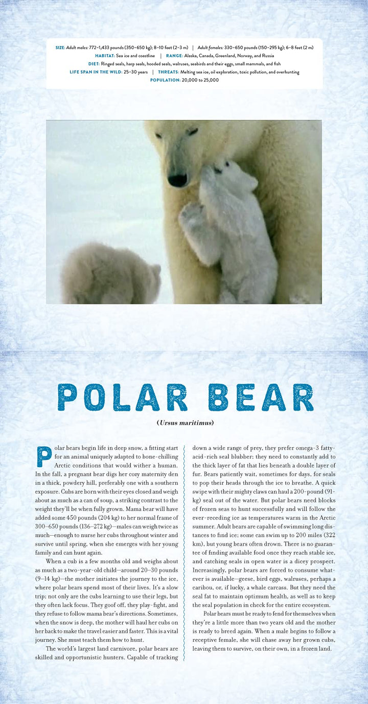 Polar - Photicular Book - Just Fabulous Palm Springs