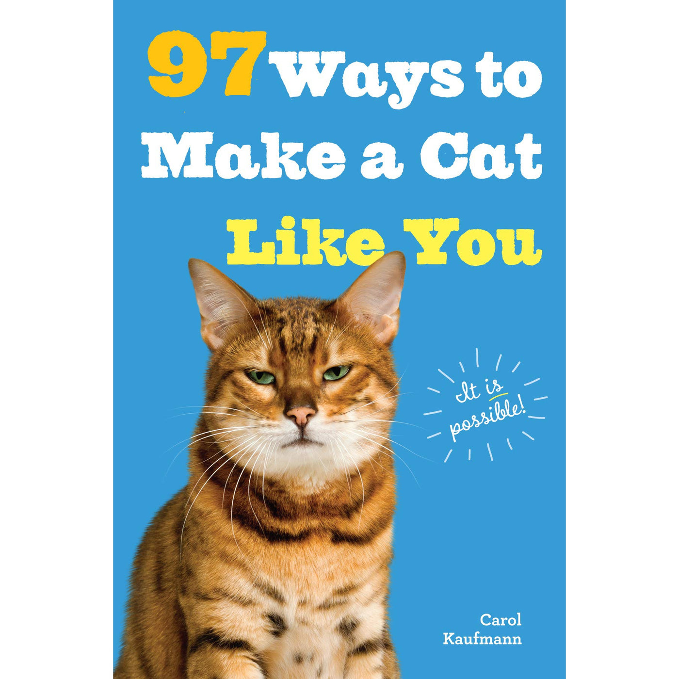 97 Ways to Make a Cat Like You - Just Fabulous Palm Springs