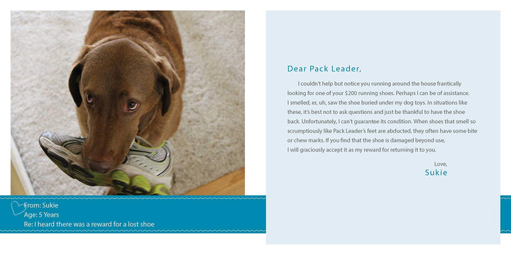 Sorry I Pooped In Your Shoe - Just Fabulous Palm Springs