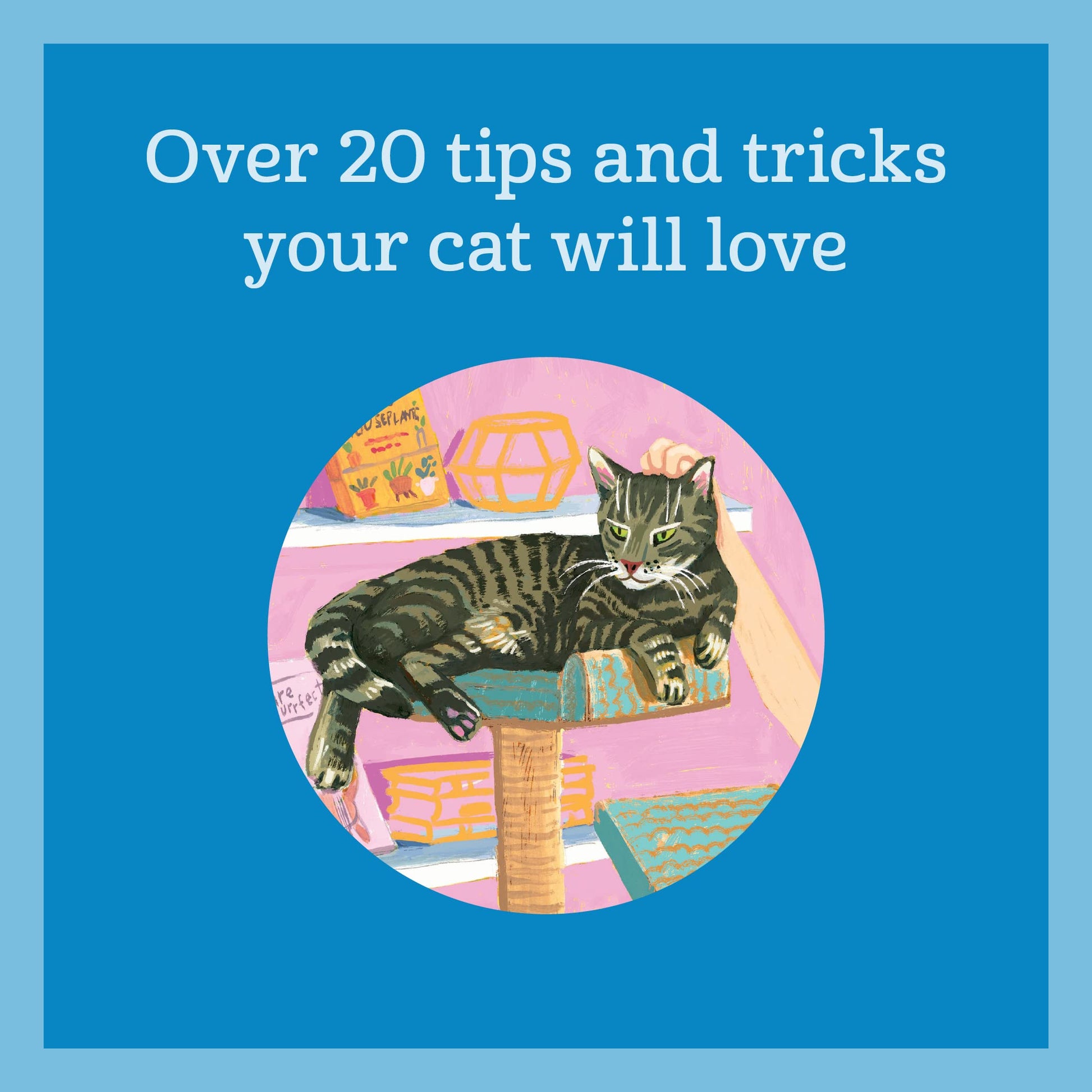 How To Pet A Cat - Just Fabulous Palm Springs