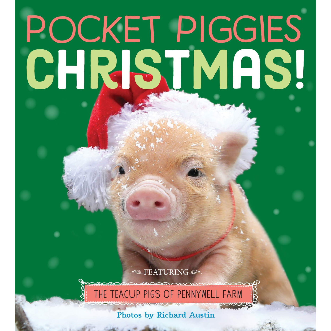 Pocket Piggies Christmas