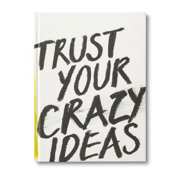 Trust Your Crazy Ideas book