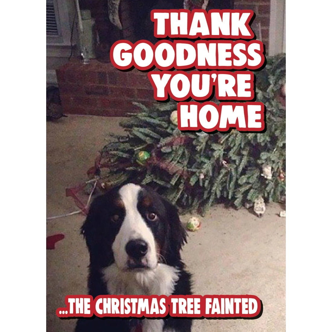 Thank Goodness You're Home Dog Holiday Card