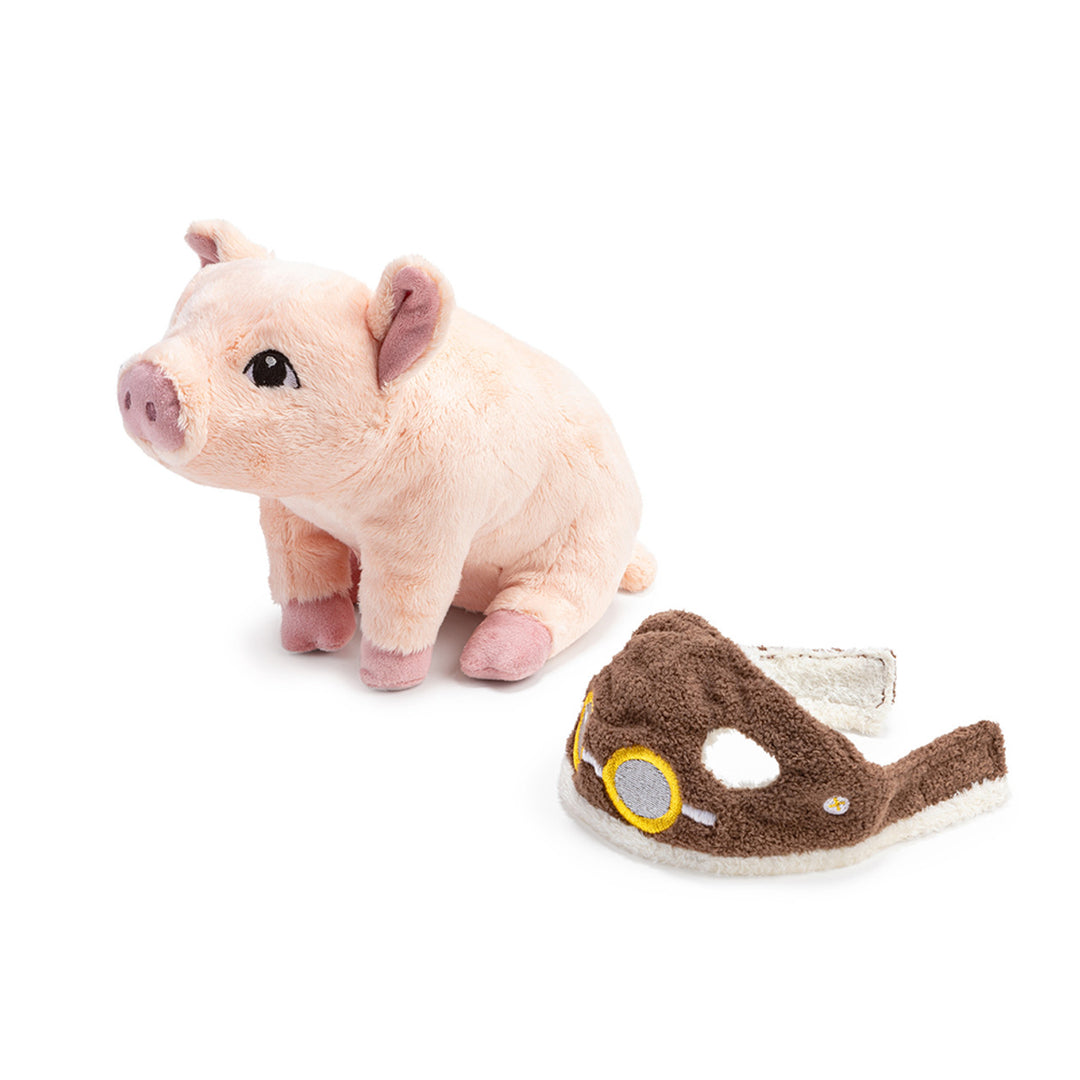 Flying Pig Plush: A Companion To The Book "Maybe"