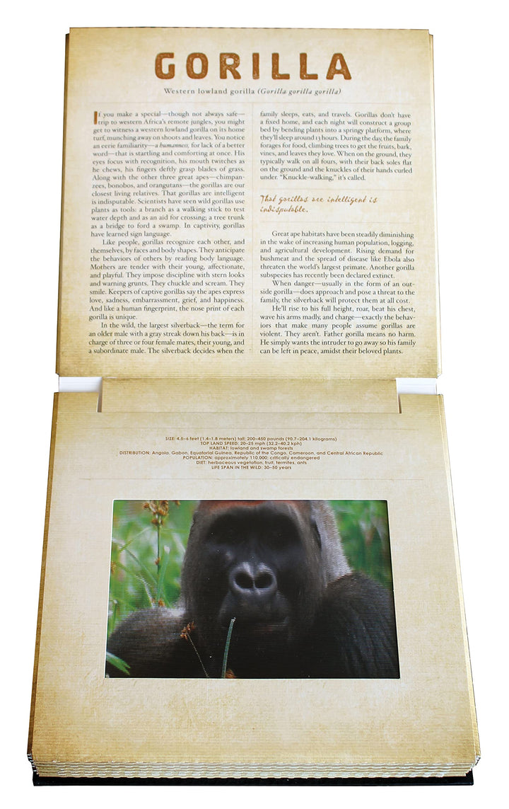 Safari - Photicular Book - Just Fabulous Palm Springs