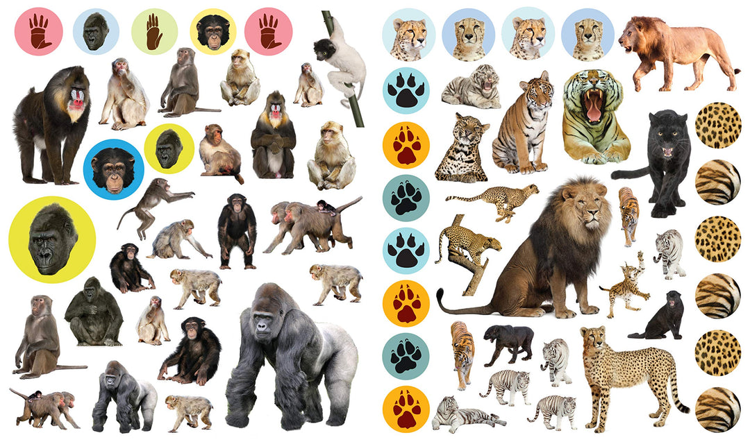 Eyelike Stickers: Wild Animals - Just Fabulous Palm Springs