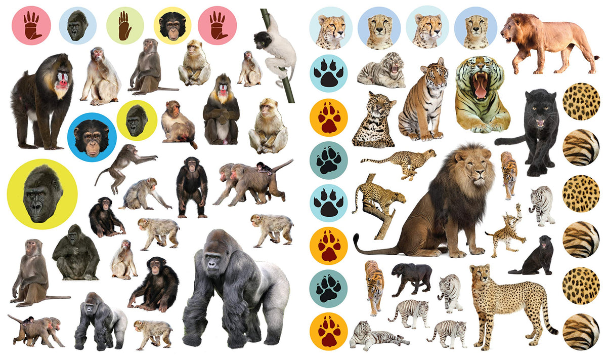 Eyelike Stickers: Wild Animals - Just Fabulous Palm Springs
