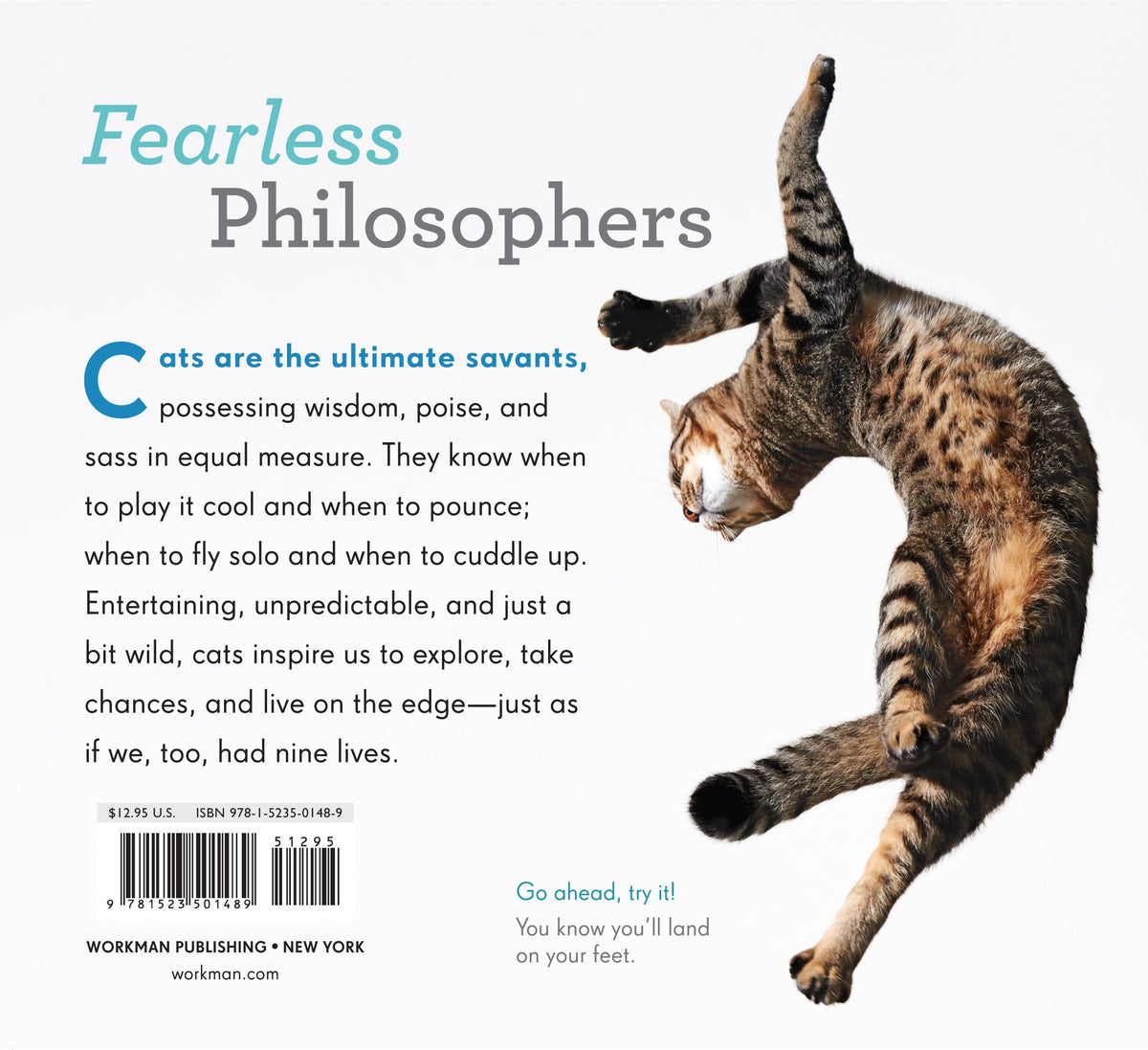 Really Important Stuff My Cat Has Taught Me - Just Fabulous Palm Springs