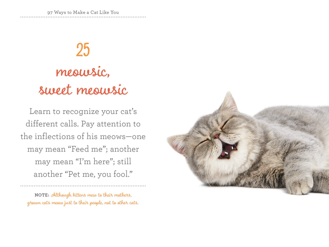97 Ways to Make a Cat Like You - Just Fabulous Palm Springs