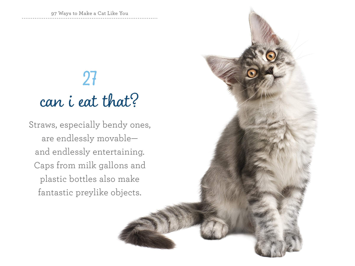 97 Ways to Make a Cat Like You - Just Fabulous Palm Springs