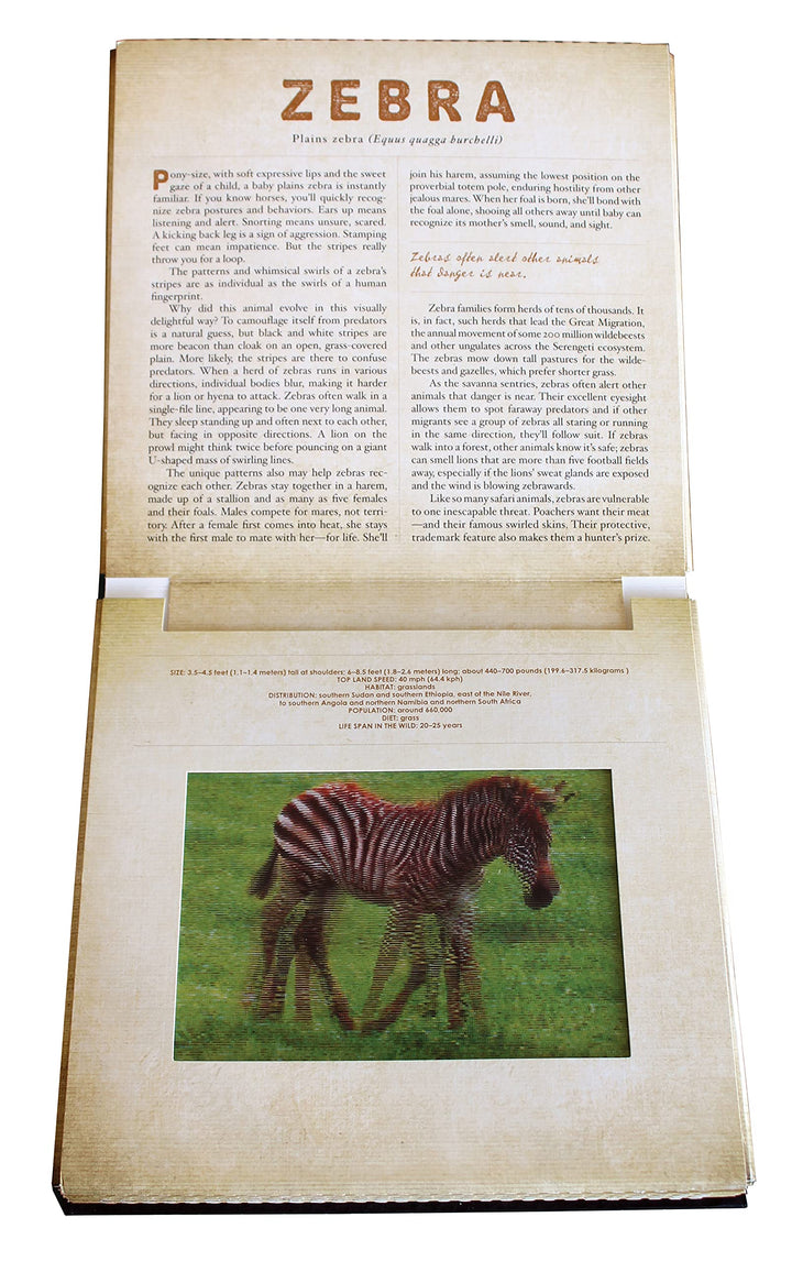 Safari - Photicular Book - Just Fabulous Palm Springs
