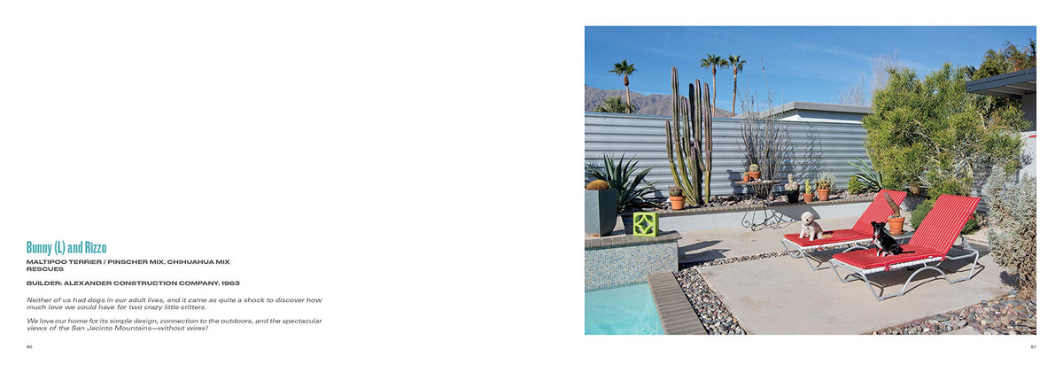 Palm Springs Modern Dogs At Home - Just Fabulous Palm Springs