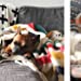 This Book Is Literally Just Pictures of Snoozy Animals That Will Make You Sleep Better