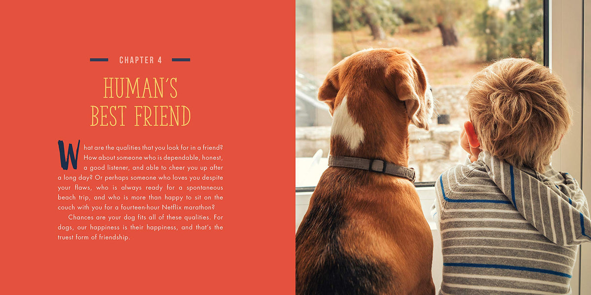 Dogs Will Be Dogs - Just Fabulous Palm Springs