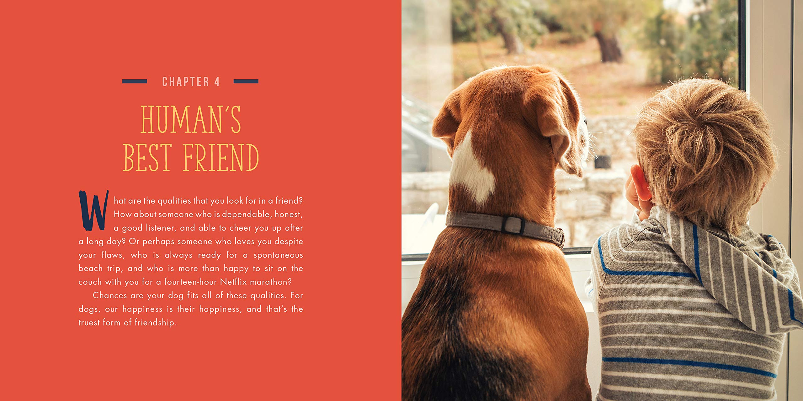 Dogs Will Be Dogs - Just Fabulous Palm Springs