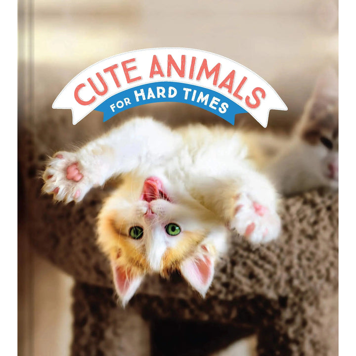 Cute Animals For Hard Times