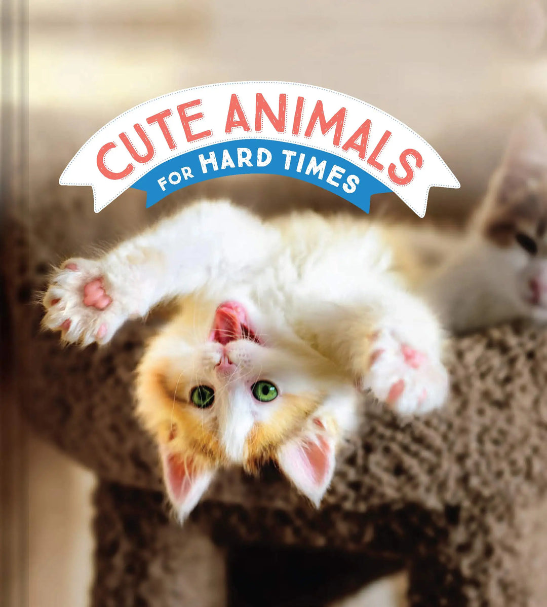Cute Animals For Hard Times