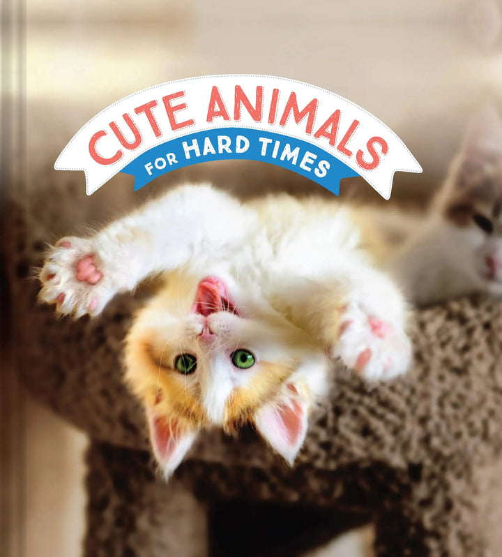 Cute Animals For Hard Times