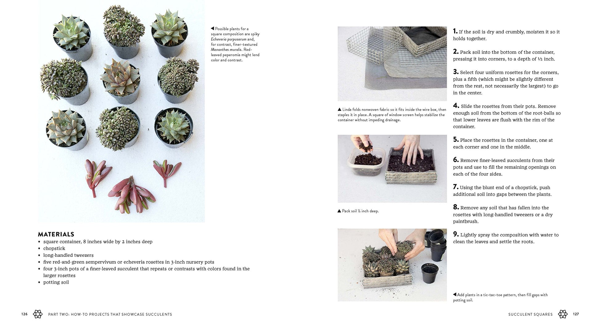 Succulents Simplified - Just Fabulous Palm Springs