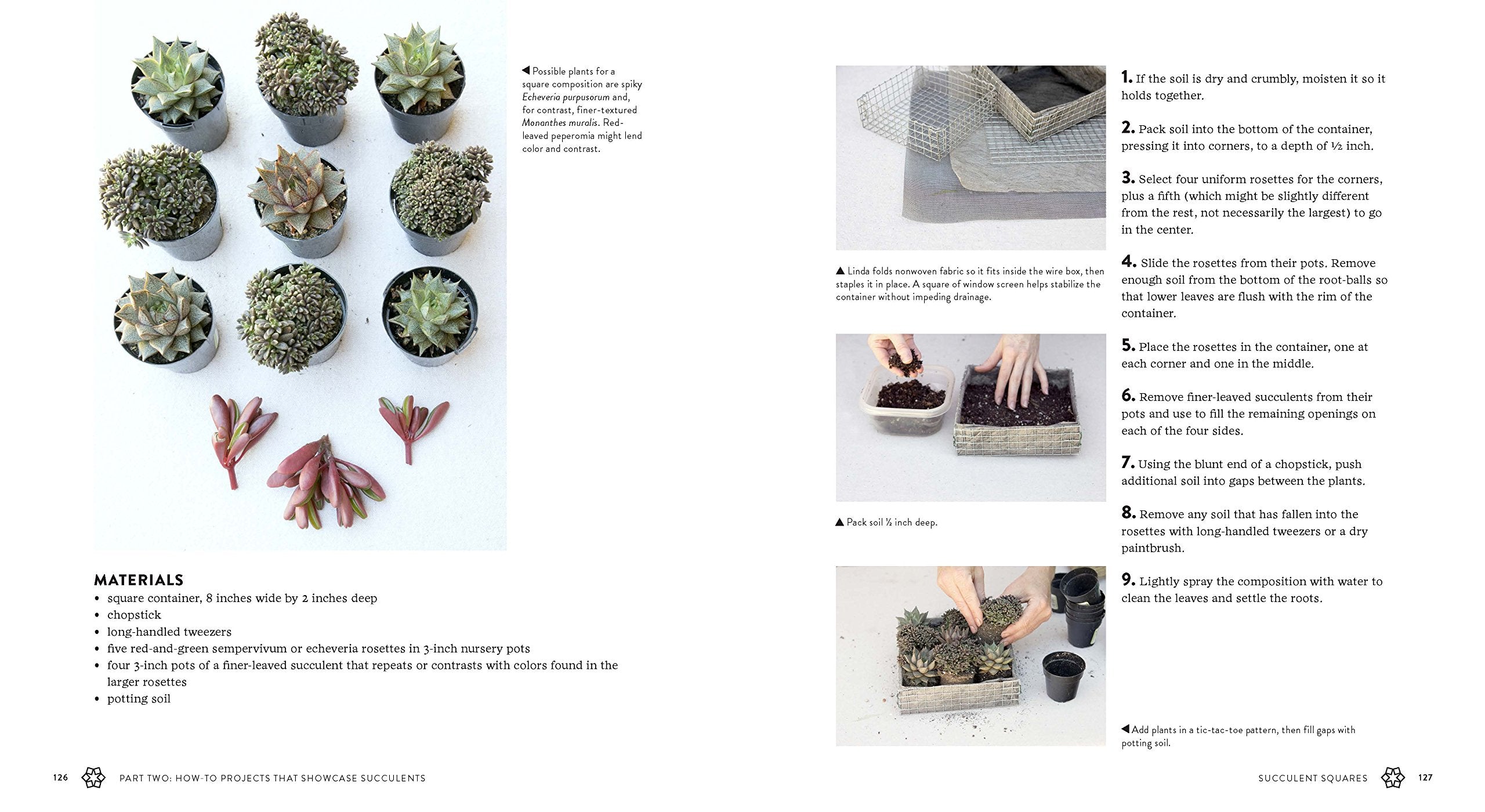 Succulents Simplified - Just Fabulous Palm Springs