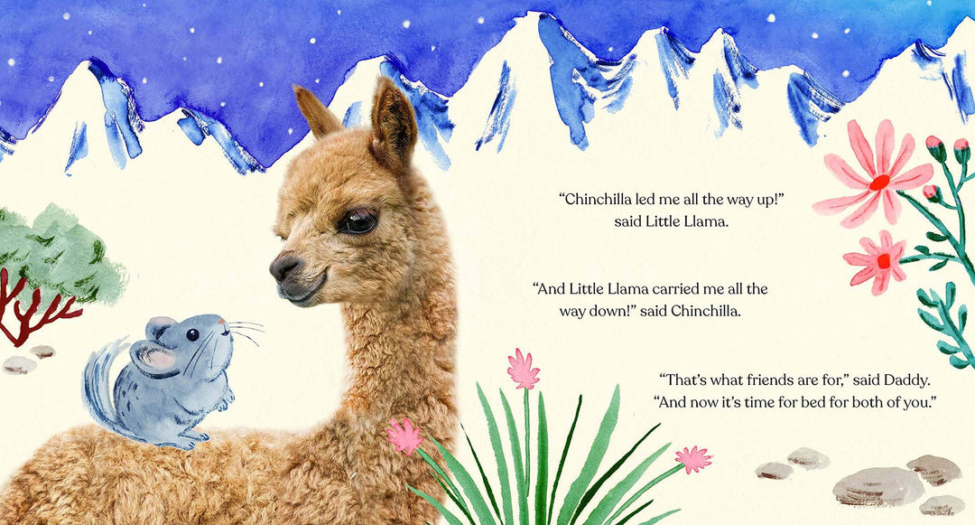 Goodnight, Little Llama