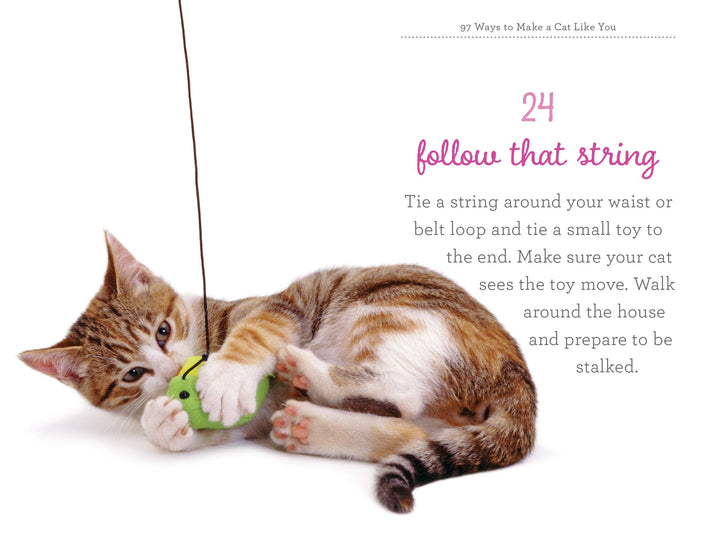 97 Ways to Make a Cat Like You - Just Fabulous Palm Springs